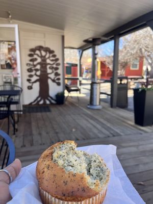 Zanders Coffee by null