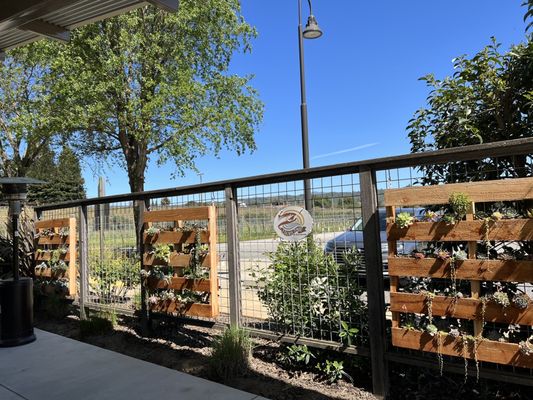 Amista Vineyards by null