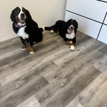 Pet Beloved - Pet Groomers Near Me - San Diego, California