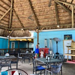The Tiny Turtle - Covered patio in the back, dog friendly and an amazing menu!