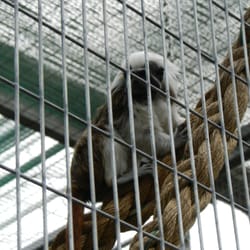 Landgoed Hoenderdall