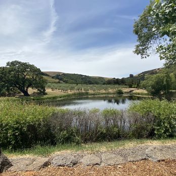 McEvoy Ranch - Our view of the pond from our seats, with an umbrella providing just the right amount of shade - Wine Tasting Room Near Me - Petaluma, California