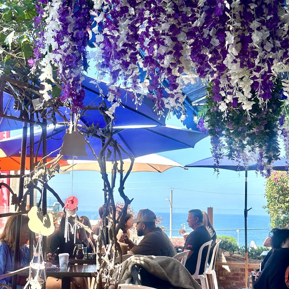 Ocean View Café - View from my seat! - Breakfast & Brunch Near Me - Manhattan Beach, California Ocean View Café - View from my seat! - Breakfast & Brunch Near Me - Manhattan Beach, California