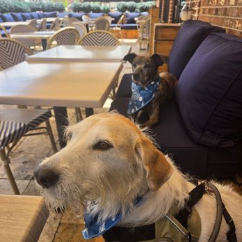 Pub Eighty Ate - Pubs Near Me - Crystal Lake, Illinois Pub Eighty Ate - Pubs Near Me - Crystal Lake, Illinois