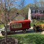 Photo of Gorilla Man Tree Service