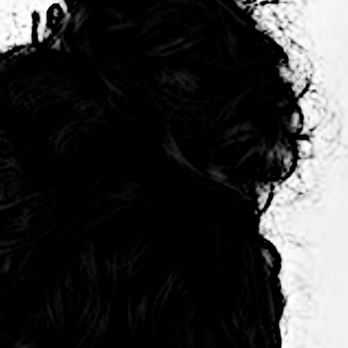 Junko Hair Studio - Hair Salons Near Me - Atlanta, Georgia Junko Hair Studio - Hair Salons Near Me - Atlanta, Georgia