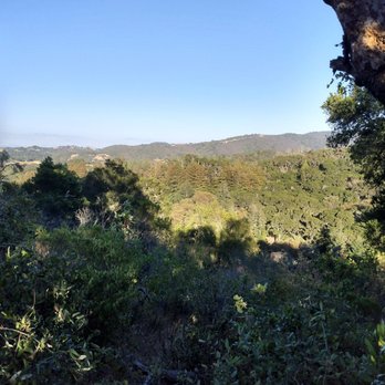 Windy Hill Open Space Preserve - Parks Near Me Windy Hill Open Space Preserve - Parks Near Me
