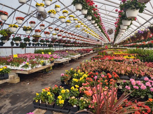 Frank's Produce & Greenhouse by null