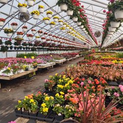 Frank's Produce & Greenhouses