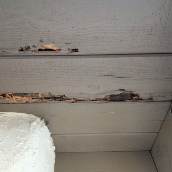 Terminix - Pest Control Near Me - San Diego, California Terminix - Pest Control Near Me - San Diego, California