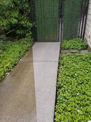 Pressure Washing & Soft Washing - If your home or business' exterior surfaces are covered in dirt, grime, and buildup, it's time to give us a call for a softwash. Pressure Washing & Soft Washing - If your home or business' exterior surfaces are covered in dirt, grime, and buildup, it's time to give us a call for a softwash.