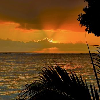 Coffee Cove Hawaii - Amazing Sunrise Views - Cafes Near Me - Hauula, Hawaii Coffee Cove Hawaii - Amazing Sunrise Views - Cafes Near Me - Hauula, Hawaii