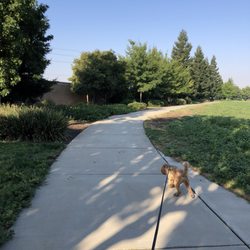 Veterans Park - Walking path