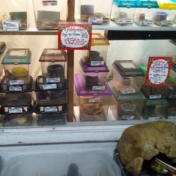Mark's Ark - Pet Stores Near Me - Taylorsville, Utah Mark's Ark - Pet Stores Near Me - Taylorsville, Utah
