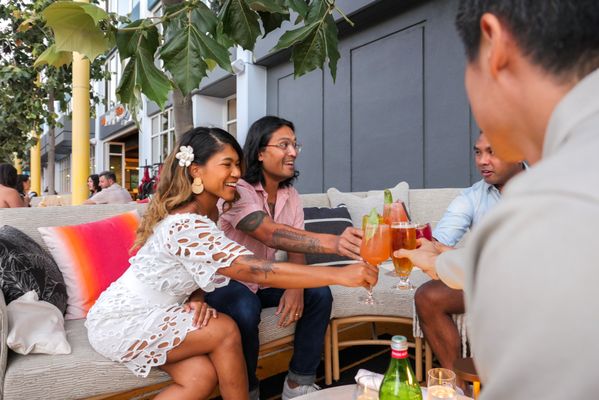 The Surfing Fox by null