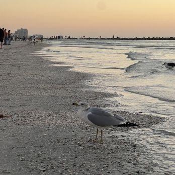 Clearwater Beach - Beaches Near Me Clearwater Beach - Beaches Near Me