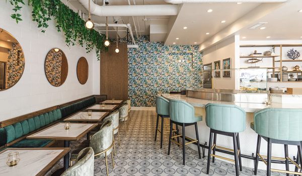Crudo Ceviche & Oyster Bar by null
