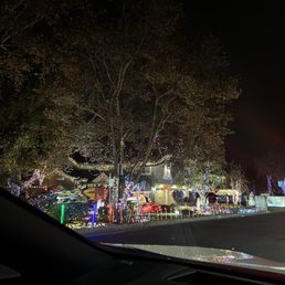 insanely pretty xmas lights! insanely pretty xmas lights!