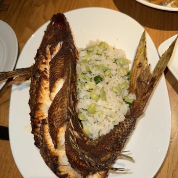 The Establishment - Peruvian fish - Seafood Near Me - Charleston, South Carolina The Establishment - Peruvian fish - Seafood Near Me - Charleston, South Carolina