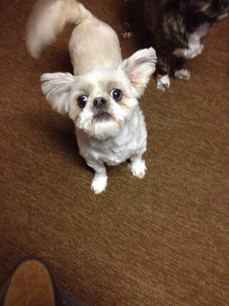 KING KULLEN Updated August 2024 12 Reviews 1765 Peninsula Blvd