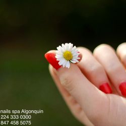 HD Nail Spa