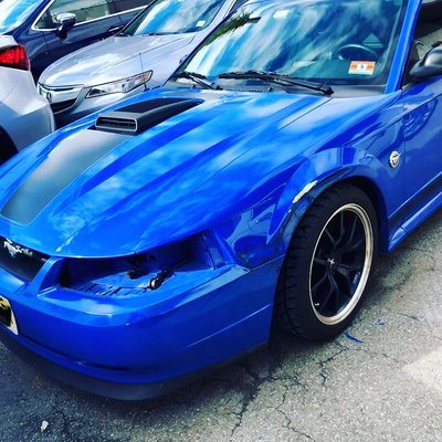 Venice Auto Body & Painting Specialists Inc by null