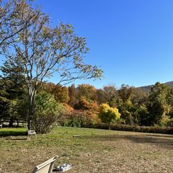 Cornwall Dog Park