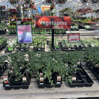 Merrifield Garden Center - Vegetable section - Nurseries & Gardening Near Me - Gainesville, Virginia