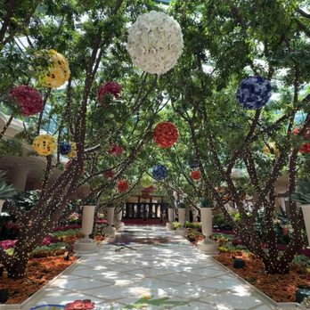 Wynn - Hotels Near Me - Las Vegas, Nevada