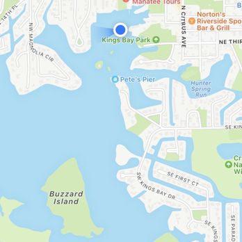 Bird's Underwater - Out on the kayak. - Diving Near Me - Crystal River, Florida