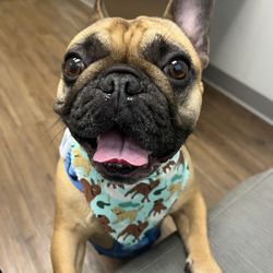 Cane Bay Veterinary Clinic
