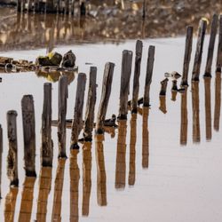 Alviso Marina County Park - Alviso Marina County Park