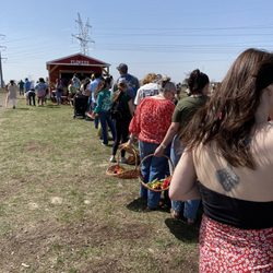 The Robinson Family Farm - Another long line