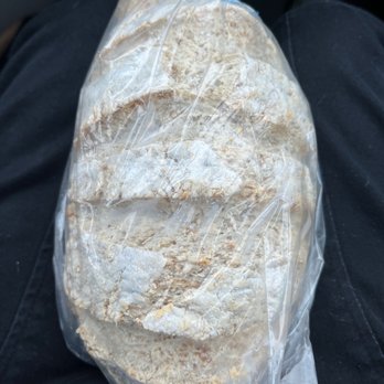 Kickshaws Gluten-Free Bakery - Gf Sourdough loaf - Bakeries Near Me - Fredericksburg, Virginia Kickshaws Gluten-Free Bakery - Gf Sourdough loaf - Bakeries Near Me - Fredericksburg, Virginia