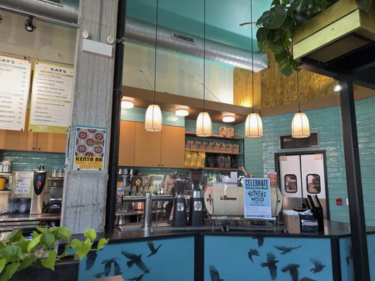 Colectivo Coffee Ravenswood by null