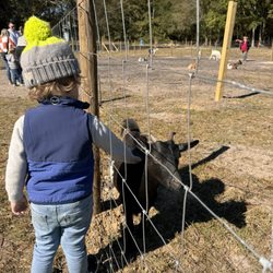 West Farm Corn Maze