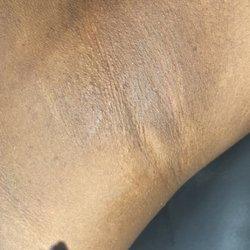 Waxed by Ashyia - Underarm