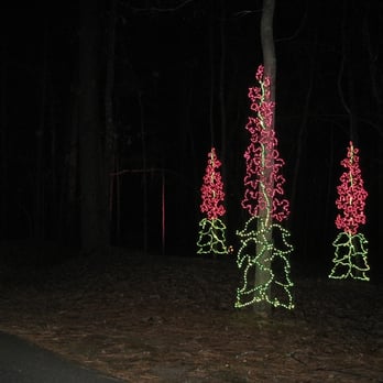 Fantasy In Lights - flowers - Botanical Gardens Near Me - Pine Mountain, Georgia