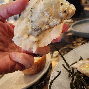 Red House Tavern - Cleanest oyster! - American Near Me - Haymarket, Virginia Red House Tavern - Cleanest oyster! - American Near Me - Haymarket, Virginia