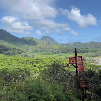 Koloa Zipline - Ziplining Near Me - Koloa, Hawaii Koloa Zipline - Ziplining Near Me - Koloa, Hawaii