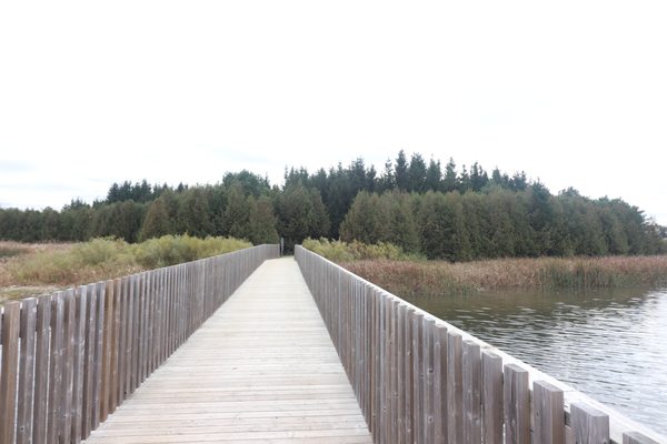 Island Lake Conservation Area by null