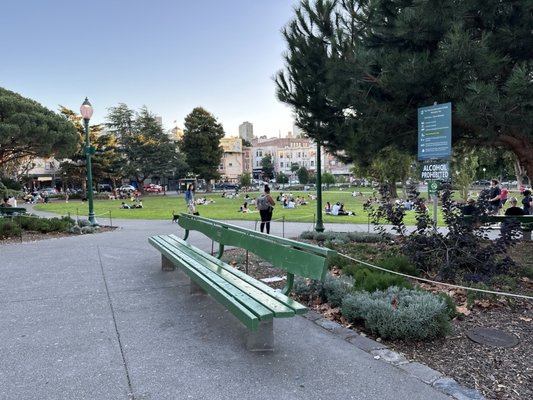 Washington Square by null