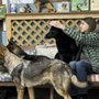 Photo of Hudson Valley K9 Academy