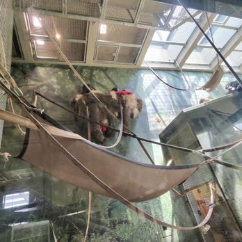 Lincoln Park Zoo - Exhibit - Zoos Near Me - Chicago, Illinois