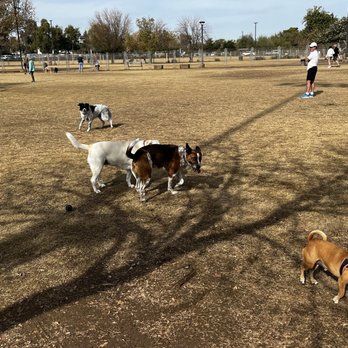Chaparral Off Leash Area - Dog Parks Near Me - Scottsdale, Arizona Chaparral Off Leash Area - Dog Parks Near Me - Scottsdale, Arizona