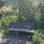 Photo of Rockaway Beach Park