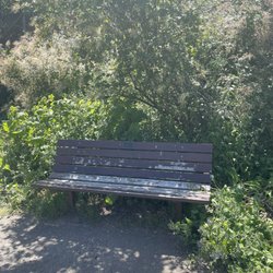 Rockaway Beach Park - Bench