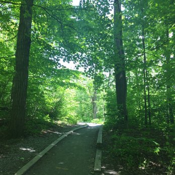 Mer Bleue bog - Hiking Near Me - Ottawa, Ontario