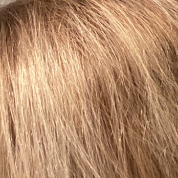 Modish Salon - Hair Stylists Near Me - Sarasota, Florida Modish Salon - Hair Stylists Near Me - Sarasota, Florida