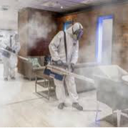 FrogScrub Tile & Carpet Cleaning
